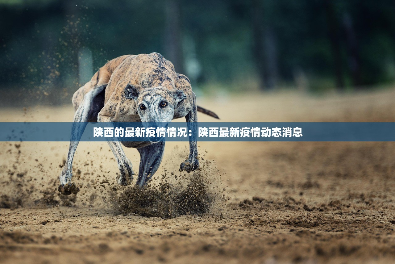 虹口区疫情最新消息›虹口区疫情情况
