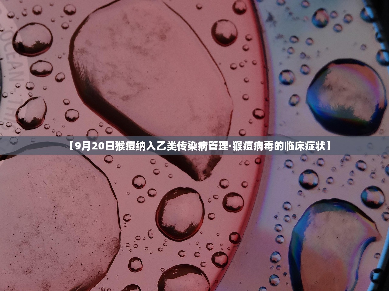 彭水疫情›彭水 疫情