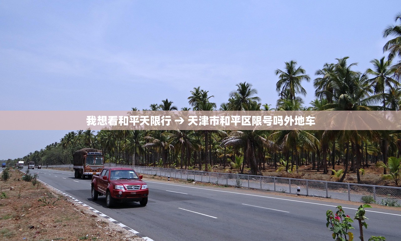 我想看和平天限行 → 天津市和平区限号吗外地车