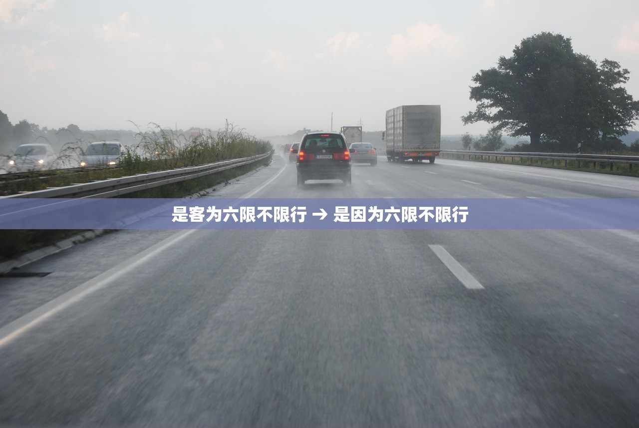 是客为六限不限行 → 是因为六限不限行