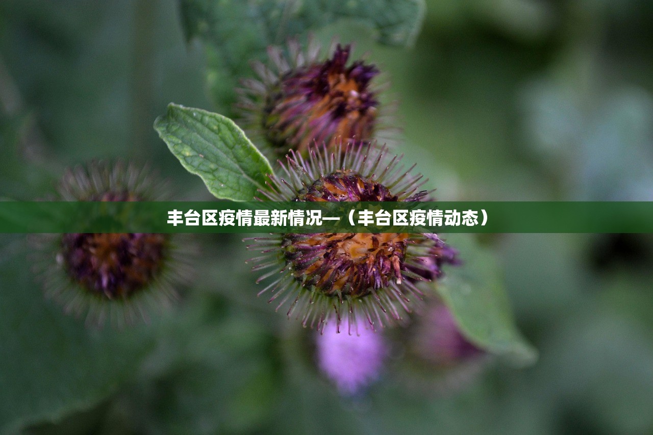 丰台区疫情最新情况—（丰台区疫情动态）