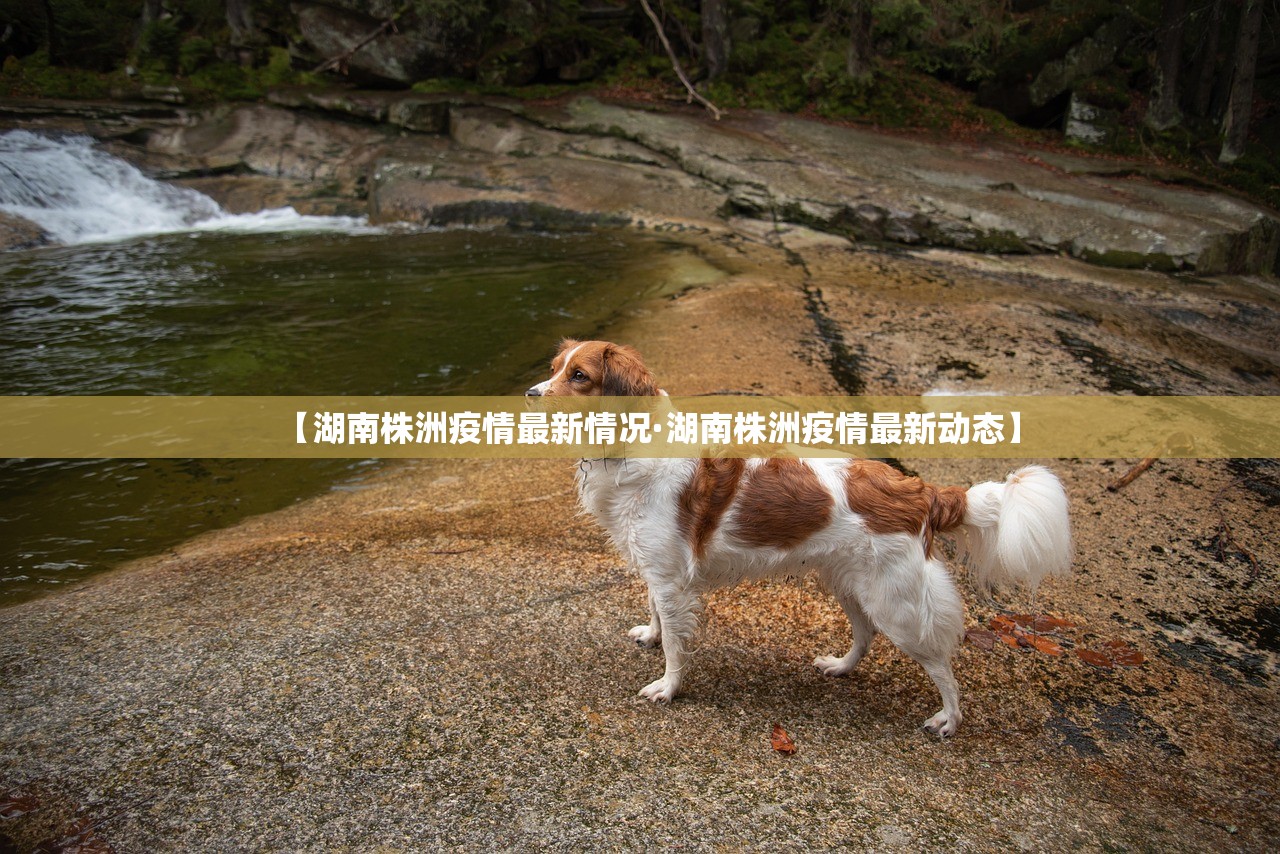 【湖南株洲疫情最新情况·湖南株洲疫情最新动态】