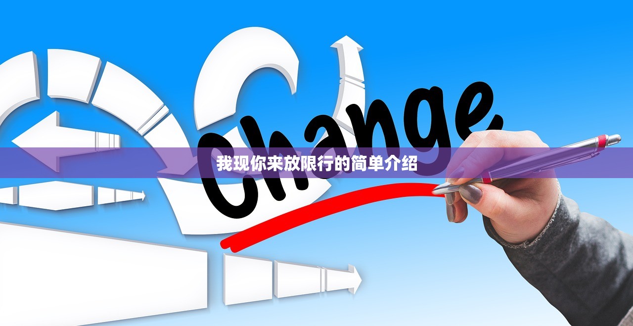 我现你来放限行的简单介绍