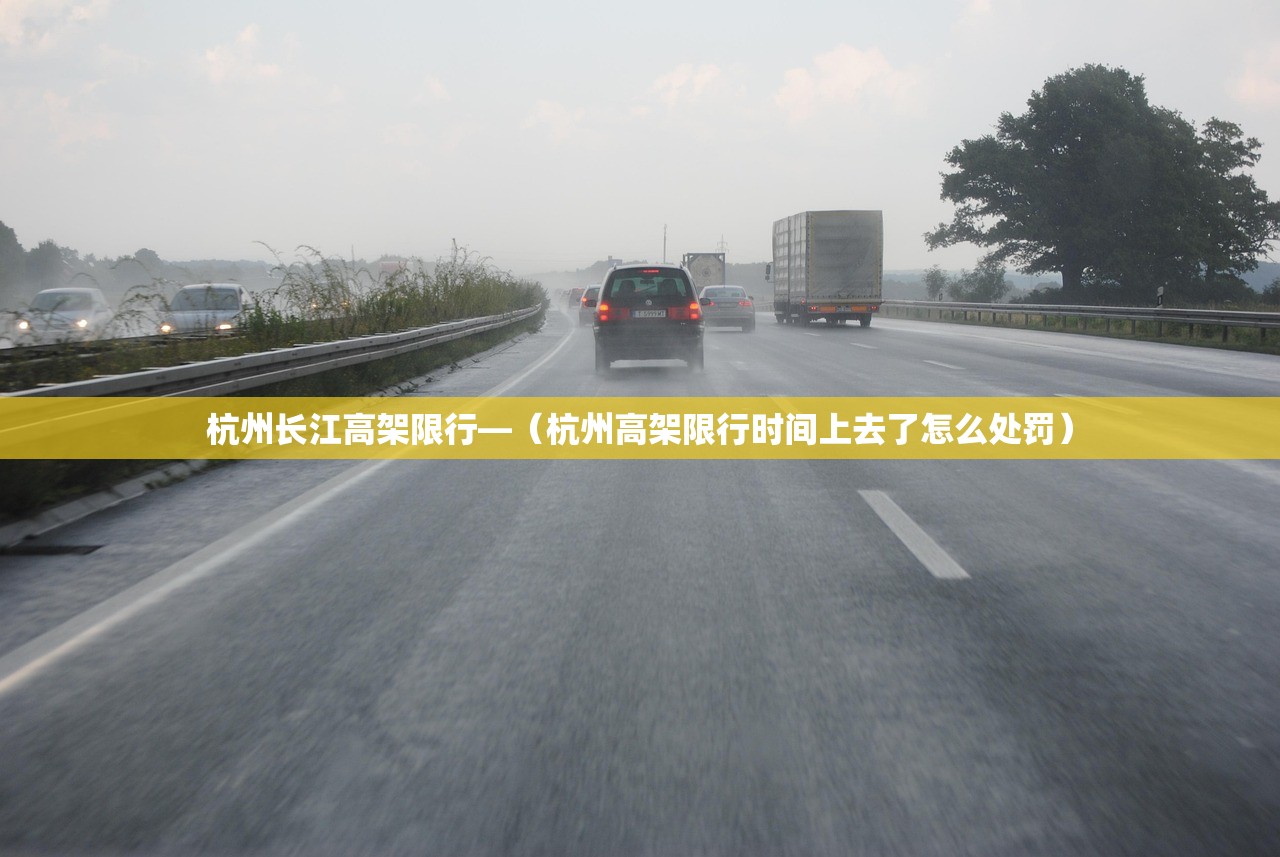 杭州长江高架限行—（杭州高架限行时间上去了怎么处罚）