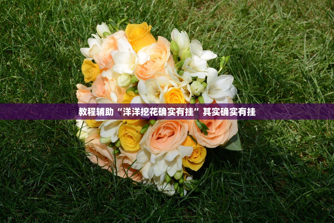 教程辅助“洋洋挖花确实有挂”其实确实有挂