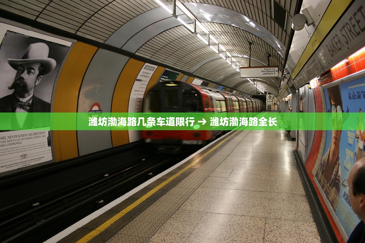 潍坊渤海路几条车道限行 → 潍坊渤海路全长