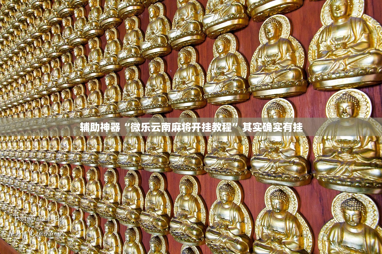 辅助神器“微乐云南麻将开挂教程	”其实确实有挂