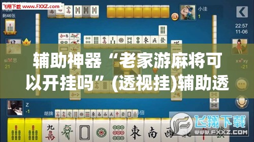 辅助神器“老家游麻将可以开挂吗	”(透视挂)辅助透视教程