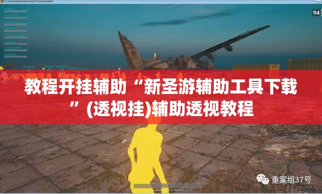 教程开挂辅助“新圣游辅助工具下载	”(透视挂)辅助透视教程
