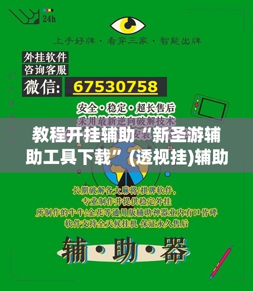 教程开挂辅助“新圣游辅助工具下载”(透视挂)辅助透视教程