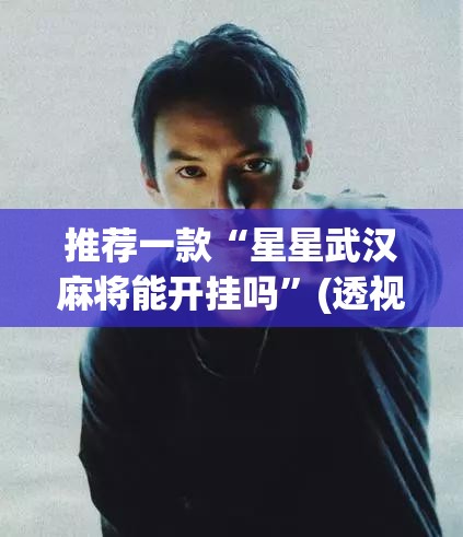 推荐一款“星星武汉麻将能开挂吗”(透视挂)辅助透视教程