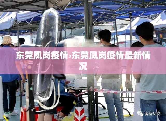 东莞凤岗疫情›东莞凤岗疫情最新情况