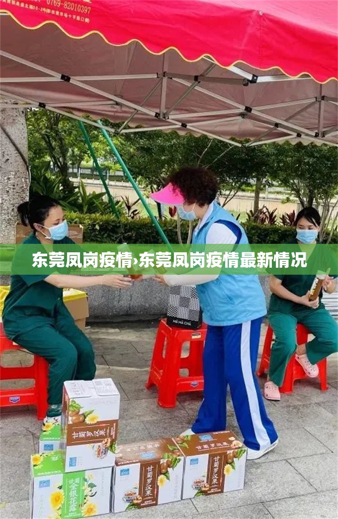 东莞凤岗疫情›东莞凤岗疫情最新情况