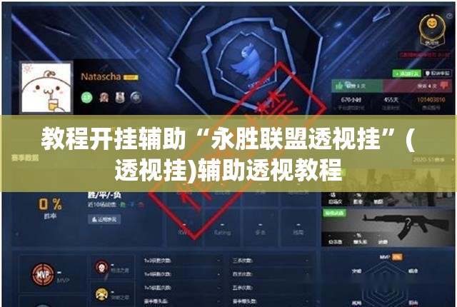 教程开挂辅助“永胜联盟透视挂”(透视挂)辅助透视教程