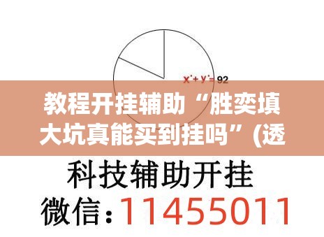 教程开挂辅助“胜奕填大坑真能买到挂吗”(透视挂)辅助透视教程