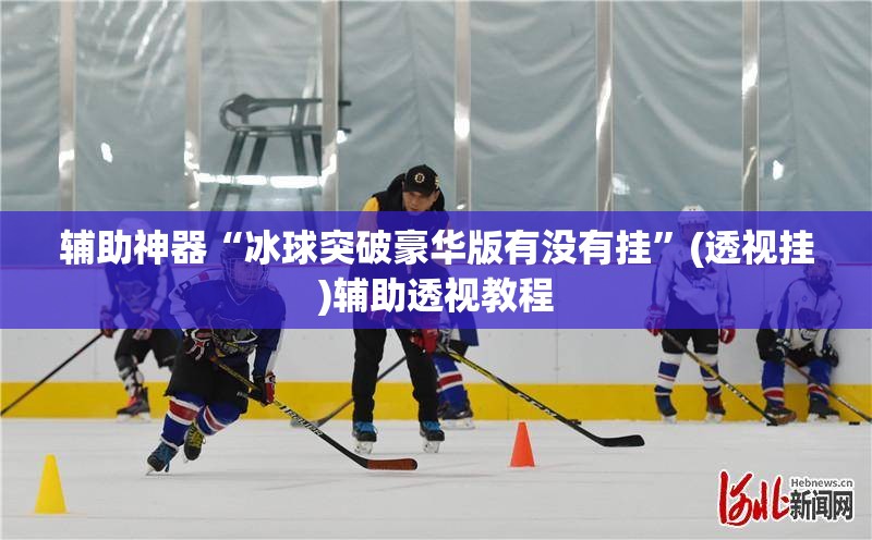 辅助神器“冰球突破豪华版有没有挂	”(透视挂)辅助透视教程