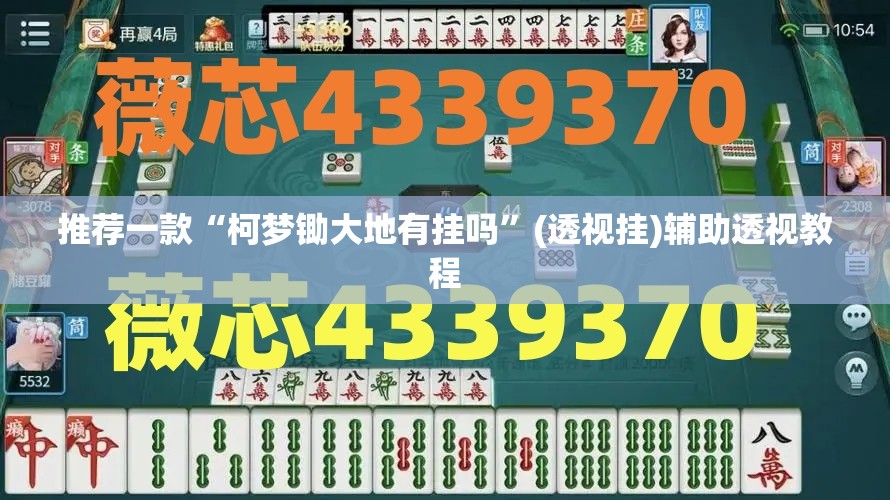推荐一款“金戈铁马哪里能买到真的挂	”(透视挂)辅助透视教程