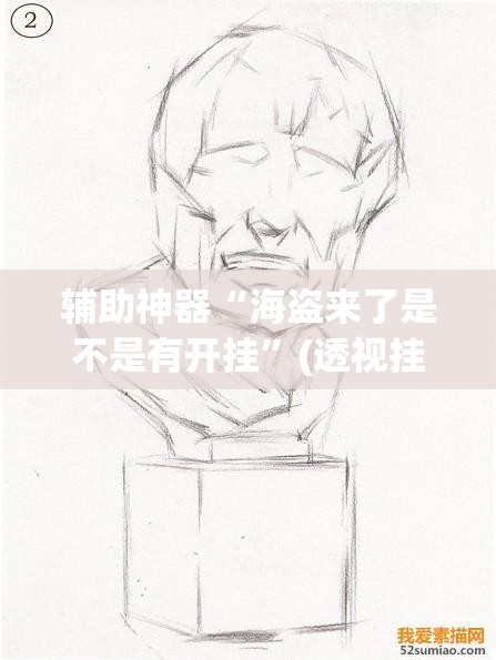 辅助神器“海盗来了是不是有开挂”(透视挂)辅助透视教程