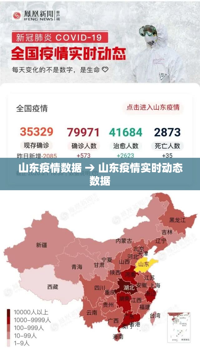 山东疫情数据 → 山东疫情实时动态数据