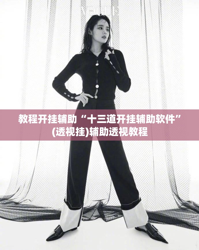 教程开挂辅助“十三道开挂辅助软件”(透视挂)辅助透视教程