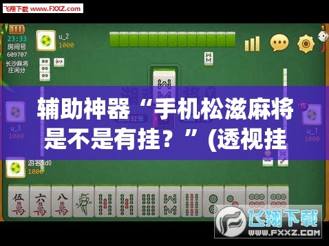 辅助神器“决胜麻将小程序开挂”(透视挂)辅助透视教程