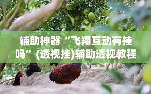 辅助神器“飞翔互动有挂吗	”(透视挂)辅助透视教程
