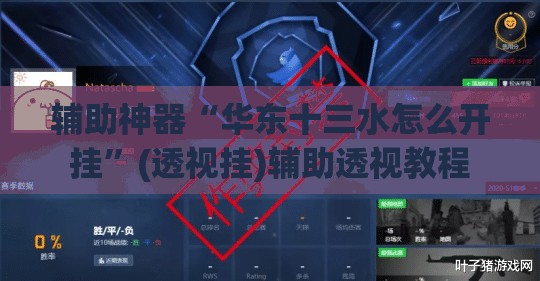 辅助神器“华东十三水怎么开挂	”(透视挂)辅助透视教程