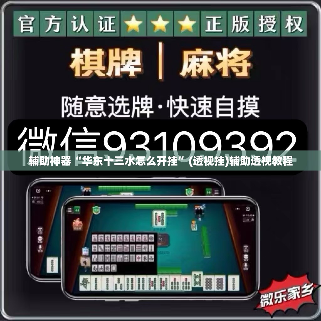 辅助神器“华东十三水怎么开挂”(透视挂)辅助透视教程
