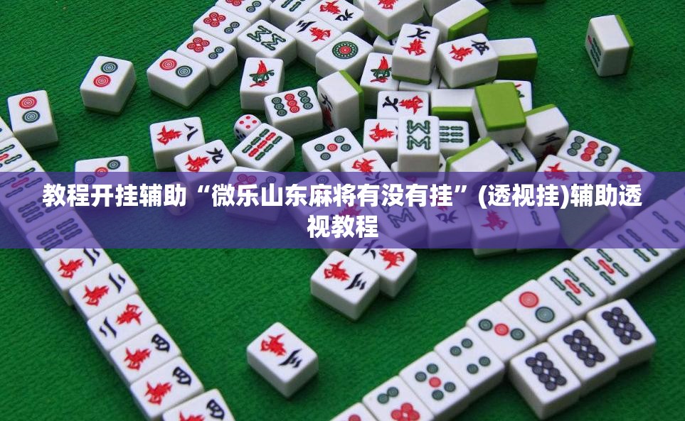 教程开挂辅助“微乐山东麻将有没有挂	”(透视挂)辅助透视教程