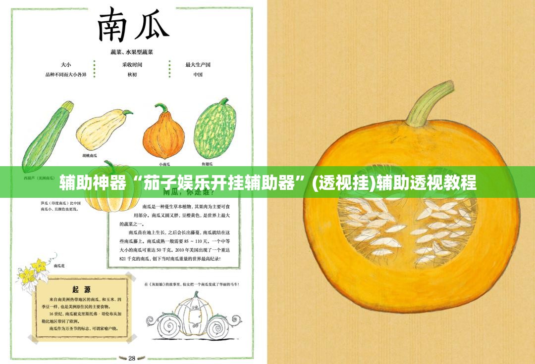 推荐一款“微乐安徽麻将开挂教程”(透视挂)辅助透视教程