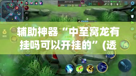 辅助神器“中至窝龙有挂吗可以开挂的	”(透视挂)辅助透视教程