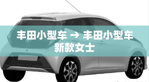 丰田小型车 → 丰田小型车新款女士