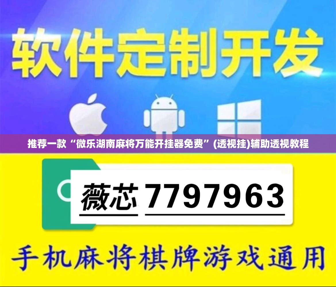 辅助神器“微乐湖南麻将开挂神器”(透视挂)辅助透视教程
