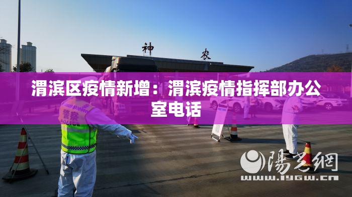渭滨区疫情新增：渭滨疫情指挥部办公室电话