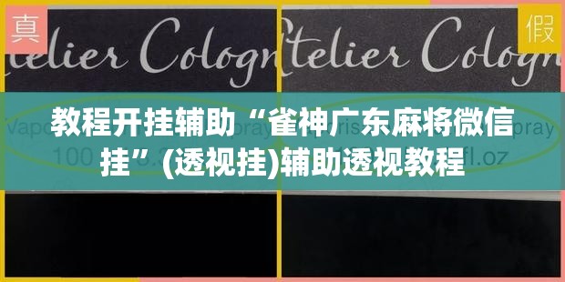 教程开挂辅助“雀神广东麻将微信挂”(透视挂)辅助透视教程