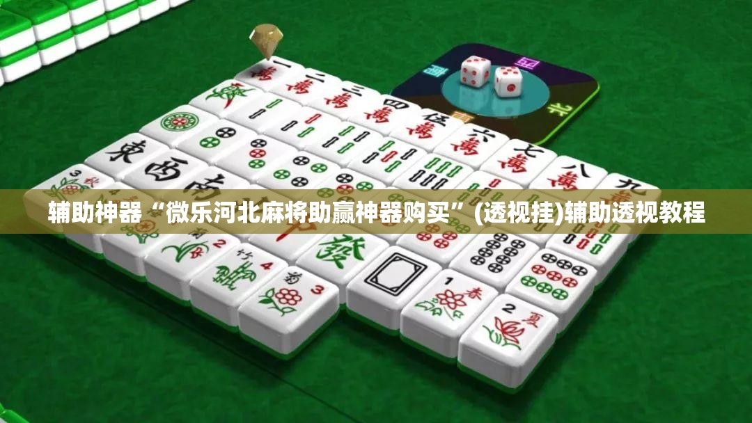 辅助神器“微乐河北麻将助赢神器购买”(透视挂)辅助透视教程