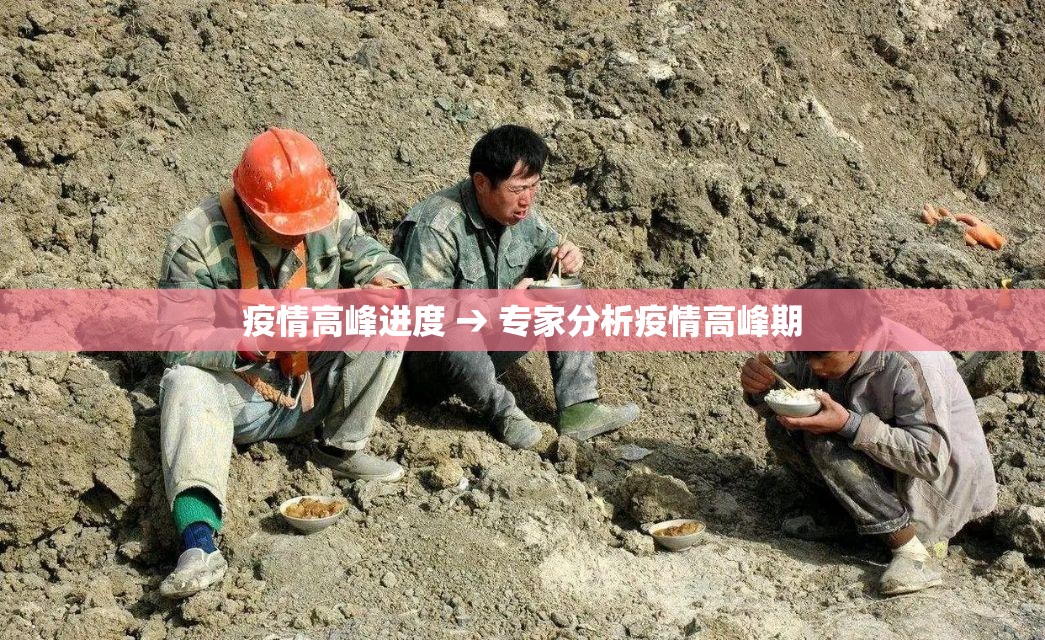 疫情高峰进度 → 专家分析疫情高峰期
