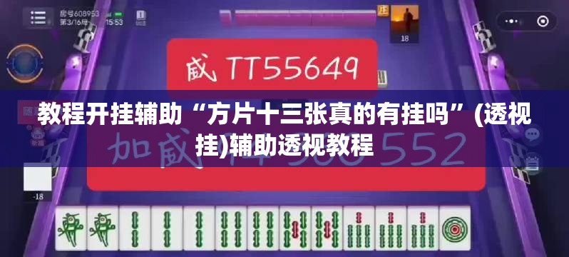辅助神器“微乐湖南麻将开挂神器”(透视挂)辅助透视教程