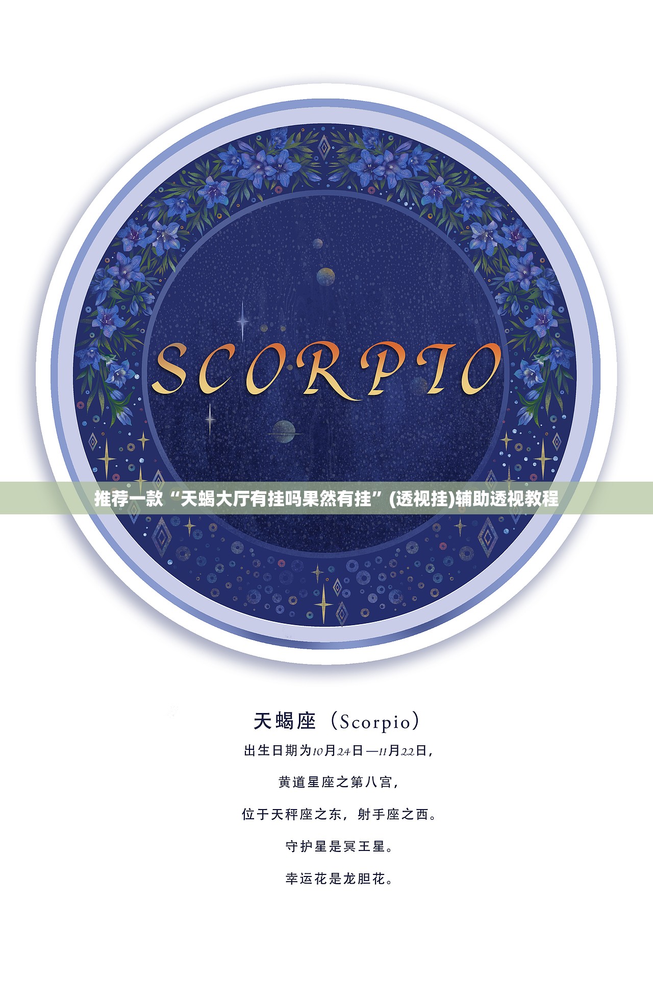 推荐一款“天蝎大厅有挂吗果然有挂”(透视挂)辅助透视教程