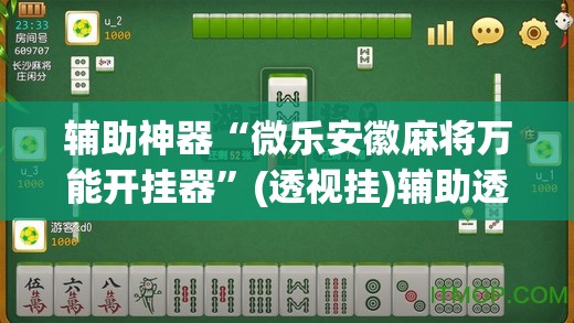 辅助神器“微乐安徽麻将万能开挂器”(透视挂)辅助透视教程