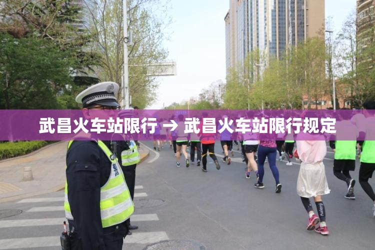 武昌火车站限行 → 武昌火车站限行规定