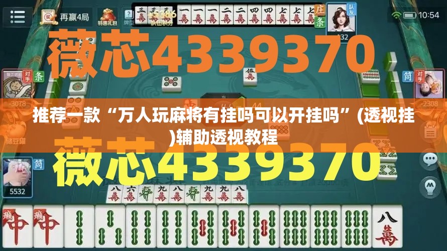 推荐一款“万人玩麻将有挂吗可以开挂吗”(透视挂)辅助透视教程