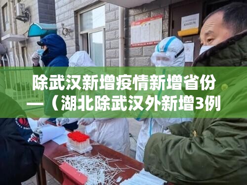 除武汉新增疫情新增省份—（湖北除武汉外新增3例3月1日）