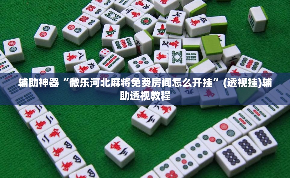 辅助神器“微乐河北麻将免费房间怎么开挂”(透视挂)辅助透视教程