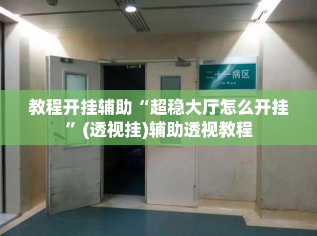教程开挂辅助“超稳大厅怎么开挂”(透视挂)辅助透视教程