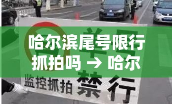 哈尔滨尾号限行抓拍吗 → 哈尔滨尾号限行抓拍吗今天 哈尔滨尾号限行抓拍吗 → 哈尔滨尾号限行抓拍吗今天