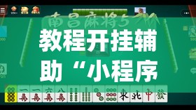 教程开挂辅助“小程序微乐浙江麻将有没有挂”(透视挂)辅助透视教程
