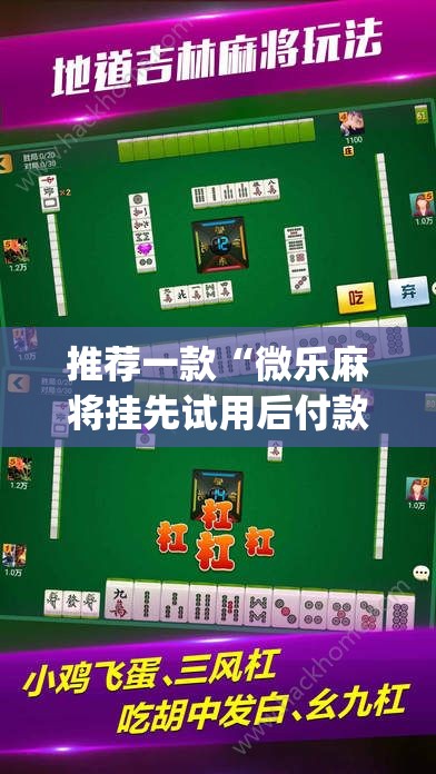 推荐一款“微乐麻将挂先试用后付款”(透视挂)辅助透视教程