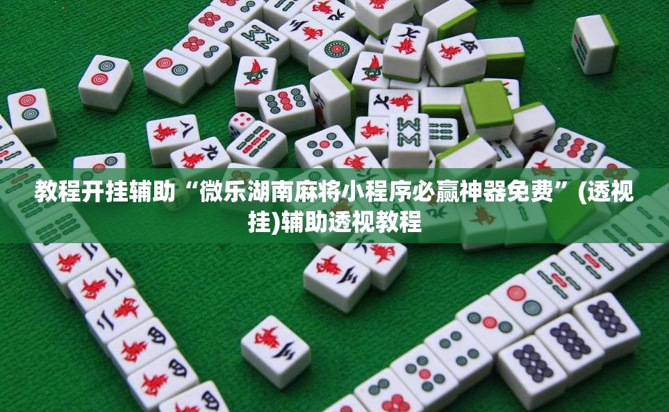 教程开挂辅助“微乐湖南麻将小程序必赢神器免费”(透视挂)辅助透视教程