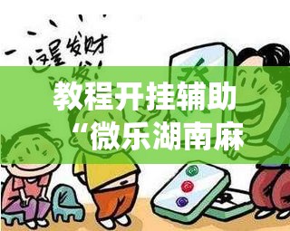 教程开挂辅助“微乐湖南麻将小程序必赢神器免费	”(透视挂)辅助透视教程